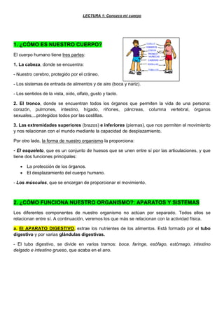 LECTURA 1: Conozco mi cuerpo
1. ¿CÓMO ES NUESTRO CUERPO?
El cuerpo humano tiene tres partes:
1. La cabeza, donde se encuentra:
- Nuestro cerebro, protegido por el cráneo.
- Los sistemas de entrada de alimentos y de aire (boca y nariz).
- Los sentidos de la vista, oído, olfato, gusto y tacto.
2. El tronco, donde se encuentran todos los órganos que permiten la vida de una persona:
corazón, pulmones, intestino, hígado, riñones, páncreas, columna vertebral, órganos
sexuales,...protegidos todos por las costillas.
3. Las extremidades superiores (brazos) e inferiores (piernas), que nos permiten el movimiento
y nos relacionan con el mundo mediante la capacidad de desplazamiento.
Por otro lado, la forma de nuestro organismo la proporciona:
- El esqueleto, que es un conjunto de huesos que se unen entre sí por las articulaciones, y que
tiene dos funciones principales:
 La protección de los órganos.
 El desplazamiento del cuerpo humano.
- Los músculos, que se encargan de proporcionar el movimiento.
2. ¿CÓMO FUNCIONA NUESTRO ORGANISMO?: APARATOS Y SISTEMAS
Los diferentes componentes de nuestro organismo no actúan por separado. Todos ellos se
relacionan entre sí. A continuación, veremos los que más se relacionan con la actividad física.
a. El APARATO DIGESTIVO, extrae los nutrientes de los alimentos. Está formado por el tubo
digestivo y por varias glándulas digestivas.
- El tubo digestivo, se divide en varios tramos: boca, faringe, esófago, estómago, intestino
delgado e intestino grueso, que acaba en el ano.
 