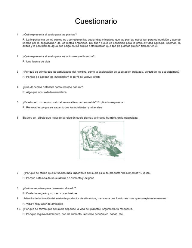 Cuestionario Sobre el suelo Cuestionario Sobre el suelo