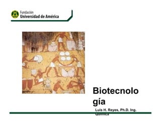 Biotecnolo
gía
Luis H. Reyes, Ph.D. Ing.
Química
 