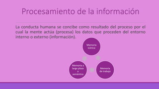 Procesamiento de la información
La conducta humana se concibe como resultado del proceso por el
cual la mente actúa (procesa) los datos que proceden del entorno
interno o externo (información).
Memoria
icónica
Memoria
de trabajo
Memoria a
largo plazo
o
semántica
 