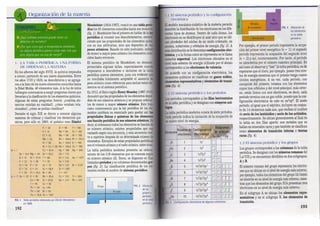 Lectura 8º tabla periodica