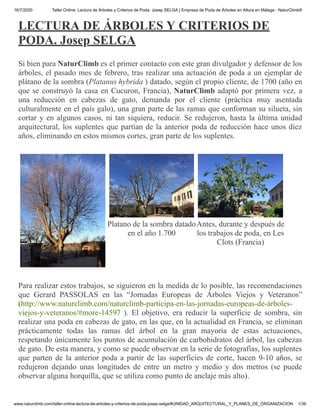 16/7/2020 Taller Online: Lectura de Árboles y Criterios de Poda. Josep SELGA | Empresa de Poda de Árboles en Altura en Málaga - NaturClimb®
www.naturclimb.com/taller-online-lectura-de-arboles-y-criterios-de-poda-josep-selga/#UNIDAD_ARQUITECTURAL_Y_PLANES_DE_ORGANIZACION 1/36
LECTURA DE ÁRBOLES Y CRITERIOS DE
PODA. Josep SELGA
Si bien para NaturClimb es el primer contacto con este gran divulgador y defensor de los
árboles, el pasado mes de febrero, tras realizar una actuación de poda a un ejemplar de
plátano de la sombra (Platanus hybrida ) datado, según el propio cliente, de 1700 (año en
que se construyó la casa en Cucuron, Francia), NaturClimb adaptó por primera vez, a
una reducción en cabezas de gato, demanda por el cliente (práctica muy asentada
culturalmente en el país galo), una gran parte de las ramas que conforman su silueta, sin
cortar y en algunos casos, ni tan siquiera, reducir. Se redujeron, hasta la última unidad
arquitectural, los suplentes que partían de la anterior poda de reducción hace unos diez
años, eliminando en estos mismos cortes, gran parte de los suplentes.
Platano de la sombra datado
en el año 1.700
Antes, durante y después de
los trabajos de poda, en Les
Clots (Francia)
Para realizar estos trabajos, se siguieron en la medida de lo posible, las recomendaciones
que Gerard PASSOLAS en las “Jornadas Europeas de Árboles Viejos y Veteranos”
(http://www.naturclimb.com/naturclimb-participa-en-las-jornadas-europeas-de-árboles-
viejos-y-veteranos/#more-14597 ). El objetivo, era reducir la superficie de sombra, sin
realizar una poda en cabezas de gato, en las que, en la actualidad en Francia, se eliminan
prácticamente todas las ramas del árbol en la gran mayoría de estas actuaciones,
respetando únicamente los puntos de acumulación de carbohidratos del árbol, las cabezas
de gato. De esta manera, y como se puede observar en la serie de fotografías, los suplentes
que parten de la anterior poda a partir de las superficies de corte, hacen 9-10 años, se
redujeron dejando unas longitudes de entre un metro y medio y dos metros (se puede
observar alguna horquilla, que se utiliza como punto de anclaje más alto).
 