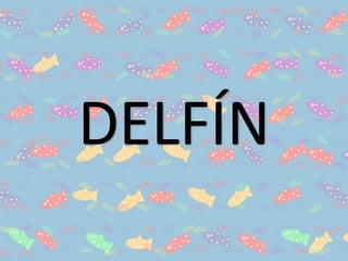 DELFÍN
 