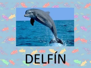 DELFÍN
 