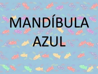 MANDÍBULA
AZUL
 