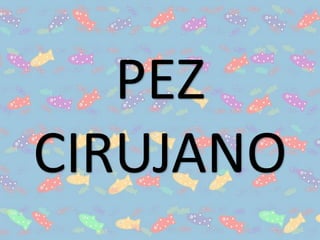 PEZ
CIRUJANO
 