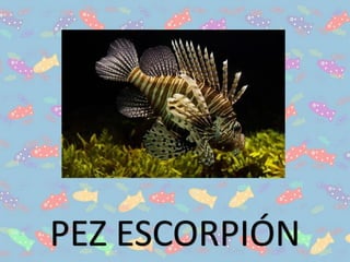 PEZ ESCORPIÓN
 