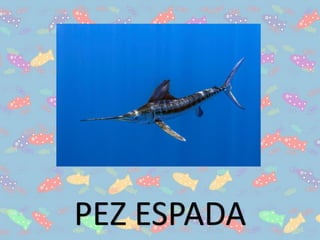 PEZ ESPADA
 