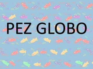 PEZ GLOBO
 