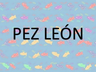 PEZ LEÓN
 