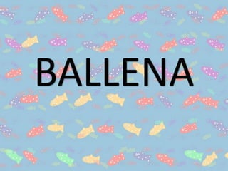 BALLENA
 