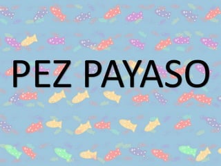 PEZ PAYASO
 