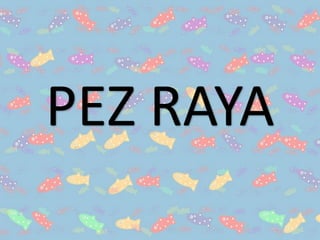 PEZ RAYA
 