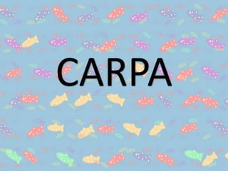 CARPA
 