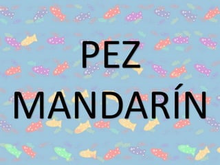 PEZ
MANDARÍN
 