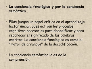 La conciencia fonológica y por la conciencia semántica  .  Ellas juegan un papel crítico en el aprendizaje lector inicial, pues activan los procesos cognitivos necesarios para decodificar y para reconocer el significado de las palabras escritas. La conciencia fonológica es como el "motor de arranque" de la decodificación. La conciencia semántica lo es de la comprensión. 