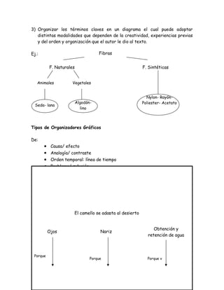3) Organizar los términos claves en un diagrama el cual puede adoptar
   distintas modalidades que dependen de la creatividad, experiencias previas
   y del orden y organización que el autor le dio al texto.

Ej.:                                 Fibras


           F. Naturales                                   F. Sintéticas


   Animales           Vegetales


                                                            Nylon- Rayón-
                          Algodón-                        Poliester- Acetato
  Seda- lana
                            lino



Tipos de Organizadores Gráficos

De:
       •    Causa/ efecto
       •    Analogía/ contraste
       •    Orden temporal: línea de tiempo
       •    Problema/ solución

Ejemplos:

2.1 Organizador Gráfico de causa/ efecto




                       El camello se adapta al desierto


                                                                Obtención y
           Ojos                       Nariz
                                                             retención de agua



 Porque
                                 Porque                     Porque v
 