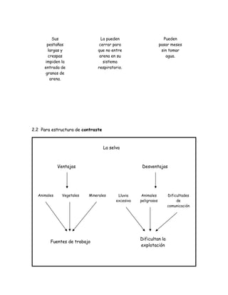 Sus                     La pueden                         Pueden
      pestañas                  cerrar para                      pasar meses
       largas y                que no entre                       sin tomar
       crespas                  arena en su                         agua.
     impiden la                   sistema
     entrada de                respiratorio.
      granos de
        arena.




2.2 Para estructura de contraste



                                   La selva



             Ventajas                                Desventajas




  Animales     Vegetales   Minerales      Lluvia     Animales        Dificultades
                                         excesiva   peligrosos            de
                                                                     comunicación




                                                    Dificultan la
        Fuentes de trabajo
                                                    explotación
 