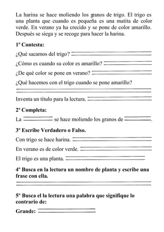 La harina se hace moliendo los granos de trigo. El trigo es
una planta que cuando es pequeña es una matita de color
verde. En verano ya ha crecido y se pone de color amarillo.
Después se siega y se recoge para hacer la harina.
1º Contesta:
¿Qué sacamos del trigo?
¿Cómo es cuando su color es amarillo?
¿De qué color se pone en verano?
¿Qué hacemos con el trigo cuando se pone amarillo?
Inventa un título para la lectura.
2º Completa:
La se hace moliendo los granos de .
3º Escribe Verdadero o Falso.
Con trigo se hace harina.
En verano es de color verde.
El trigo es una planta.
4º Busca en la lectura un nombre de planta y escribe una
frase con ella.
5º Busca el la lectura una palabra que signifique lo
contrario de:
Grande:
 