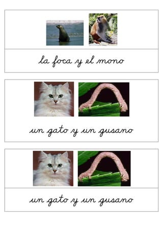            




     la foêa y el moõo
 




                                    




    un gato y un gusano
 




                                        




    un gato y un gusano
 
 