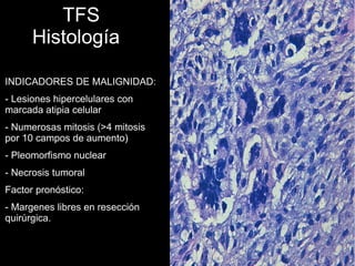 TFS
Histología
INDICADORES DE MALIGNIDAD:
- Lesiones hipercelulares con
marcada atipia celular
- Numerosas mitosis (>4 mitosis
por 10 campos de aumento)
- Pleomorfismo nuclear
- Necrosis tumoral
Factor pronóstico:
- Margenes libres en resección
quirúrgica.
 