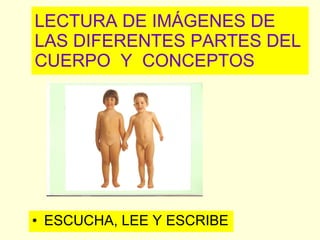 LECTURA DE IMÁGENES DE LAS DIFERENTES PARTES DEL CUERPO  Y  CONCEPTOS ,[object Object]
