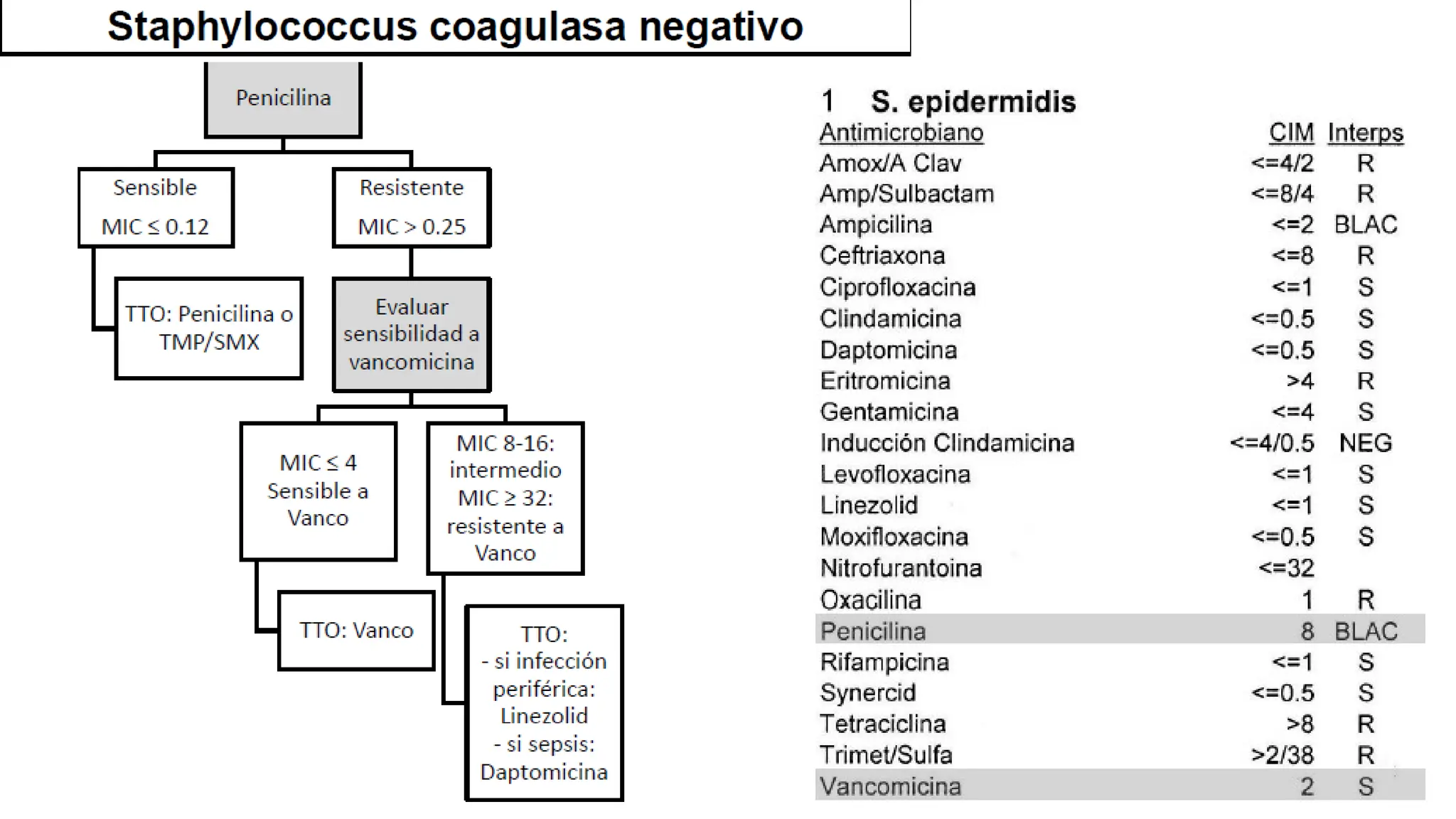 Lectura del Antibiograma en Gram Positivos.pptx