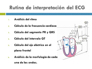 Rutina de interpretación del ECG
1. Análisis del ritmo
2. Cálculo de la frecuencia cardiaca
3. Cálculo del segmento PR y QRS
4. Cálculo del intervalo QT
5. Cálculo del eje eléctrico en el
plano frontal
6. Análisis de la morfología de cada
una de las ondas.
 