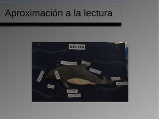 Aproximación a la lectura
 