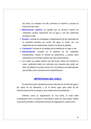 las rocas, se congelan con ella, aumenta su volumen y provoca la
       fractura de las rocas.
   • Meteorización química: es aquella que se produce cuando los
       materiales rocosos reaccionan con el agua o con las sustancias
       disueltas en ella.
   • Erosión: consiste en el desgaste y fragmentación de los materiales de
       la superficie terrestre por acción del agua, el viento, etc. Los
       fragmentos que se desprenden reciben el nombre de detritos.
   • Transporte: consiste en el traslado de los detritos de un lugar a otro.
   • Sedimentación:         consiste   en   el   depósito   de   los   materiales
       transportados, reciben el nombre de sedimentos, y cuando estos
       sedimentos se cementan originan las rocas sedimentarias.
   • Los suelos se pueden destruir por las lluvias. Estas van lavando el
       suelo, quitándole todos los nutrientes que necesita para poder ser
       fértil, los árboles no pueden crecer ahí y se produce una deforestación
       que conlleva como consecuencia la desertificación



                      IMPORTANCIA DEL SUELO

      El suelo tiene gran importancia porque interviene en el ciclo del agua y
los ciclos de los elementos y en él tienen lugar gran parte de las
transformaciones de la energía y de la materia de los ecosistemas.

      Además, como su regeneración es muy lenta, el suelo debe
considerarse como un recurso no renovable y cada vez más escaso, debido
a que está sometido a constantes procesos de degradación y destrucción.




                                                                               28
 