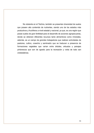 No obstante en el Táchira, también se presentan diversidad de suelos
que poseen alto contenido de nutrientes, siendo uno de los estados más
productivos y fructíferos a nivel estadal y nacional, ya que, es una región que
posee suelos de gran fertilidad para el desarrollo de acciones agropecuarias,
donde se obtienen diferentes recursos tanto alimenticios como minerales,
además, es un campo de grandes trabajadores que realizan actividades de
pastoreo, cultivo, cosecha y sembradío que se traducen a presencia de
formaciones vegetales que varían entre árboles, arbustos y paisajes
pintorescos que son de agrado para la recreación y visita de todo san
cristobalense.




                                                                            31
 