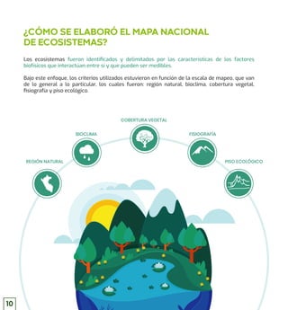 Los ecosistemas fueron identiﬁcados y delimitados por las características de los factores
biofísicos que interactúan entre sí y que pueden ser medibles.
Bajo este enfoque, los criterios utilizados estuvieron en función de la escala de mapeo, que van
de lo general a lo particular, los cuales fueron: región natural, bioclima, cobertura vegetal,
ﬁsiografía y piso ecológico.
¿CÓMO SE ELABORÓ EL MAPA NACIONAL
DE ECOSISTEMAS?
REGIÓN NATURAL PISO ECOLÓGICO
BIOCLIMA
COBERTURA VEGETAL
FISIOGRAFÍA
10
 