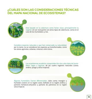 Está basado en la cobertura como factor clave, principalmente la
vegetal; sin ser excluyente con otros tipos de coberturas, como en el
caso de los humedales y ríos.
Los ecosistemas acuáticos comprenden los ríos y dos tipos de hume-
dales: lagos y lagunas, de las cuatro regiones naturales (costa,
andina, yunga y selva tropical).
Considera espacios naturales o que han conservado su naturalidad,
por lo tanto, no se consideran los espacios ya transformados, como
las zonas agrícolas, urbanas, mineras, entre otros.
Algunos humedales fueron diferenciados, tales como: manglar y
humedal costero en la región costa, bofedal en la región andina y,
pantano herbáceo-arbustivo y pantano de palmeras en la región
selva tropical.
¿CUÁLES SON LAS CONSIDERACIONES TÉCNICAS
DEL MAPA NACIONAL DE ECOSISTEMAS?
11
 