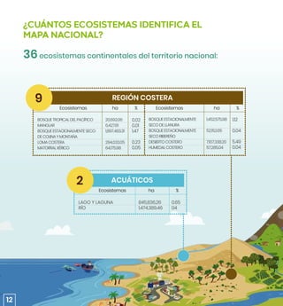 36ecosistemas continentales del territorio nacional:
¿CUÁNTOS ECOSISTEMAS IDENTIFICA EL
MAPA NACIONAL?
REGIÓN COSTERA
9
BOSQUETROPICALDELPACÍFICO
MANGLAR
BOSQUEESTACIONALMENTESECO
DECOLINAYMONTAÑA
LOMACOSTERA
MATORRALXÉRICO
20,692.06
6,427.61
1,897,483.31
294,033.05
64,175.98
0.02
0.01
1.47
0.23
0.05
ha ha
Ecosistemas Ecosistemas
% %
BOSQUEESTACIONALMENTE
SECODELLANURA
BOSQUEESTACIONALMENTE
SECORIBEREÑO
DESIERTOCOSTERO
HUMEDALCOSTERO
1,452,575.98
52,152.65
7,107,338.20
57,285.04
1.12
0.04
5.49
0.04
ACUÁTICOS
2
LAGO Y LAGUNA
RÍO
845,836.26
1,474,389.46
0.65
1.14
ha
Ecosistemas %
12
 