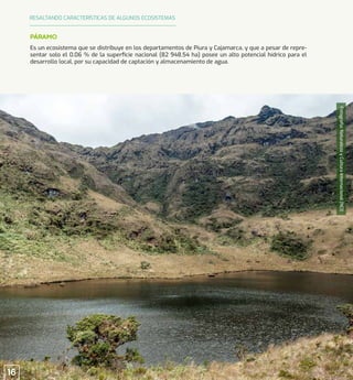 Fotografía:
Naturaleza
y
Cultura
Internacional
(NCI)
Es un ecosistema que se distribuye en los departamentos de Piura y Cajamarca, y que a pesar de repre-
sentar solo el 0.06 % de la superﬁcie nacional (82 948.54 ha) posee un alto potencial hídrico para el
desarrollo local, por su capacidad de captación y almacenamiento de agua.
PÁRAMO
RESALTANDO CARACTERÍSTICAS DE ALGUNOS ECOSISTEMAS
16
 