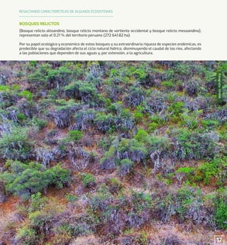Fotografía:
MINAM
(Bosque relicto altoandino, bosque relicto montano de vertiente occidental y bosque relicto mesoandino),
representan solo el 0.21 % del territorio peruano (272 641.82 ha).
Por su papel ecológico y económico de estos bosques y su extraordinaria riqueza de especies endémicas, es
predecible que su degradación afecta el ciclo natural hídrico, disminuyendo el caudal de los ríos, afectando
a las poblaciones que dependen de sus aguas y, por extensión, a la agricultura.
BOSQUES RELICTOS
RESALTANDO CARACTERÍSTICAS DE ALGUNOS ECOSISTEMAS
17
 