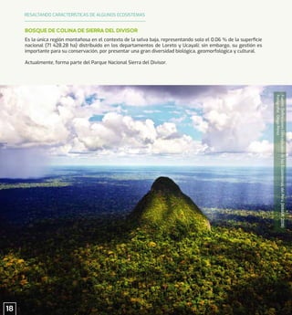 Fuente:
Deﬁniciones
Conceptuales
de
los
Ecosistemas
del
Perú
(MINAM,
2018)
Fotografía:
Diego
Pérez
Es la única región montañosa en el contexto de la selva baja, representando solo el 0.06 % de la superﬁcie
nacional (71 428.28 ha) distribuido en los departamentos de Loreto y Ucayali; sin embargo, su gestión es
importante para su conservación, por presentar una gran diversidad biológica, geomorfológica y cultural.
Actualmente, forma parte del Parque Nacional Sierra del Divisor.
BOSQUE DE COLINA DE SIERRA DEL DIVISOR
RESALTANDO CARACTERÍSTICAS DE ALGUNOS ECOSISTEMAS
18
 