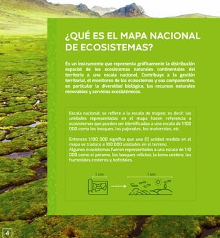 ¿QUÉ ES EL MAPA NACIONAL
DE ECOSISTEMAS?
1 cm 1 km
Es un instrumento que representa gráﬁcamente la distribución
espacial de los ecosistemas naturales continentales del
territorio a una escala nacional. Contribuye a la gestión
territorial, el monitoreo de los ecosistemas y sus componentes,
en particular la diversidad biológica, los recursos naturales
renovables y servicios ecosistémicos.
Escala nacional: se reﬁere a la escala de mapeo; es decir, las
unidades representadas en el mapa hacen referencia a
ecosistemas que pueden ser identiﬁcados a una escala de 1:100
000 como los bosques, los pajonales, los matorrales, etc.
Entonces 1:100 000 signiﬁca que una (1) unidad medida en el
mapa se traduce a 100 000 unidades en el terreno.
Algunos ecosistemas fueron representados a una escala de 1:10
000 como el páramo, los bosques relictos, la loma costera, los
humedales costeros y bofedales.
4
 