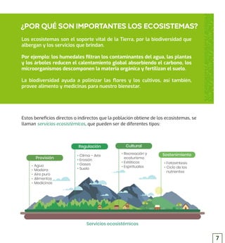 Los ecosistemas son el soporte vital de la Tierra, por la biodiversidad que
albergan y los servicios que brindan.
Por ejemplo: los humedales ﬁltran los contaminantes del agua, las plantas
y los árboles reducen el calentamiento global absorbiendo el carbono, los
microorganismos descomponen la materia orgánica y fertilizan el suelo.
La biodiversidad ayuda a polinizar las ﬂores y los cultivos, así también,
provee alimento y medicinas para nuestro bienestar.
Estos beneﬁcios directos o indirectos que la población obtiene de los ecosistemas, se
llaman servicios ecosistémicos, que pueden ser de diferentes tipos:
¿POR QUÉ SON IMPORTANTES LOS ECOSISTEMAS?
Agua
Madera
Aire puro
Alimentos
Medicinas
Recreación y
ecoturismo
Estéticos
Espirituales
Clima – Aire
Erosión
Gases
Suelo
Fotosíntesis
Ciclo de los
nutrientes
Servicios ecosistémicos
Provisión
Regulación Cultural
Sostenimiento
7
 