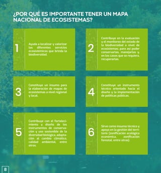 ¿POR QUÉ ES IMPORTANTE TENER UN MAPA
NACIONAL DE ECOSISTEMAS?
1 2
5 6
3 4
Ayuda a localizar y valorizar
los diferentes servicios
ecosistémicos que brinda la
biodiversidad.
Contribuye en la evaluación
y el monitoreo del estado de
la biodiversidad a nivel de
ecosistemas; para así poder
conservarlas, manejarlas y,
en los casos que se requiera,
recuperarlas.
Constituye un insumo para
la elaboración de mapas de
ecosistemas a nivel regional
y local.
Constituye un instrumento
técnico orientado hacia el
diseño y la implementación
de políticas públicas.
Contribuye con el fortaleci-
miento y diseño de los
instrumentos de conserva-
ción y uso sostenible de la
diversidad biológica, adapta-
ción al cambio climático,
calidad ambiental, entre
otros.
Sirve como insumo técnico y
apoyo en la gestión del terri-
torio (zoniﬁcación ecológica
económica, zoniﬁcación
forestal, entre otras).
8
 
