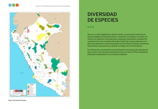 La Biodiversidad en Cifras
26 27
Sexto Informe Nacional Sobre Diversidad Biológica
03
05
07
11
14
15
12
01
17
13
56
92
01
04
86
42
01
78
12
37
03
09
53
16
90
128
34
15
21
38
98
37
62
65
127
120
105
100
32
19
30
89
116
02
106
117
119
84
06
83
33
17
77
10
90
31
43
101
49
50
113
80
10
18
82
07
76
40
96
122
91
116
103
10
27
102
10
26
81
115
39
70
107
41
13
35
61
118
107
28
29
88
23
104
121
110
109
64
46
60
111
59
99
85
108
125
57
87
95
124
36
93
20
75
74
123
54
114
PN11
RN08
PN03
PN09
PN14
PN08
PN15
RN14
RC02
RP02
RN12
RC03
RN06
PN04
RN03
PN10
RN09
PN06
RC09
RP01 RC05
SN06
PN13
RC06
BP06
RN15
PN05
BP04
RC10
PN07
RC07
CC01
RN07
BP03
CC02
RN10
RN02
RC04
PN12
SN09
SH03
RC01
SN08
RN05
RC08
RN11
RN13.01
SN07
RN01
RVS03
RN13.13-15
SN01
RN05
RVS01
SH04
PN01
RN13.02
RN13.03
RN04
PN02
RN13.21-23
RN13.16
SN02
RN13.08
RN13.04-05
SN04
RN13.24-26
RN13.07
SN05
RN13.06
RN13.19
RN13.20
RN13.17-18
SH01
PN01
RN13.30
RN13.33
RN13.12
BP05
RN13.28
RN13.09
RVS03
RN13.32
RN13.27
RN13.31
RN13.29
RN13.10
RN13.11
SN03
SH02
RVS02
BP02
RVS03
BP01
ACR 10
ACR 09
ACR 04
ACR 17
ACR 06
ACR 05
ACR 07
ACR 01
ACR 19
ACR 15
ACR 14
ACR 18
ACR 18
ACR 20
ACR 11
ACR 13
ACR 12
ACR 08
ACR 15
ACR 16
ACR 03
ACR 02
LORETO
UCAYALI
PUNO
CUSCO
JUNIN
LIMA
ICA
AREQUIPA
PIURA
MADRE DE DIOS
ANCASH
SAN MARTIN
AYACUCHO
HUANUCO
PASCO
AMAZONAS
CAJAMARCA
TACNA
APURIMAC
LA LIBERTAD
HUANCAVELICA
MOQUEGUA
LAMBAYEQUE
TUMBES
CALLAO
OCÉANO PACÍFICO
BRASIL
ECUADOR
COLOMBIA
BOLIVIA
CHILE
70°0'0"O
70°0'0"O
75°0'0"O
75°0'0"O
80°0'0"O
80°0'0"O
0°0'0"
0°0'0"
5°0'0"S
5°0'0"S
10°0'0"S
10°0'0"S
15°0'0"S
15°0'0"S
³
Fuente: SERNANP, INEI.
MAPA DE ÁREAS NATURALES PROTEGIDAS
Fecha de elaboración: 2018-10-24
LEYENDA
Bosque de Protección
Coto de Caza
Parque Nacional
Refugio de Vida Silvestre
Reserva Comunal
Reserva Nacional
Reserva Paisajistica
Santuario Histórico
Santuario Nacional
Zona Reservada
ANP de administración Regional
ANP de administración privada
126
DIVERSIDAD
DE ESPECIES
Perú es un país megadiverso, donde nuestro conocimiento sobre las es-
pecies biológicas existentes está en constante crecimiento. Las listas y el
número de especies conocidas para cada grupo taxonómico cambian fre-
cuentemente como resultado de la descripción de nuevas especies, el re-
gistro de especies no antes reportadas en el territorio nacional y revisiones
taxonómicas, que producen cambios y arreglos en la nomenclatura.
A continuación, se presenta una actualización de la riqueza de especies de
flora, fauna y otros grupos taxonómicos que ocurren en el Perú, basada en
la literatura publicada y en la consulta a expertos.
Mapa 2. Áreas Naturales Protegidas.
 