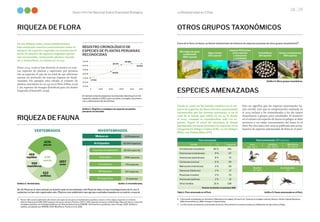 La Biodiversidad en Cifras
28 29
Sexto Informe Nacional Sobre Diversidad Biológica
Fauna amenazada 389 especies
Aves
122 - 6,6 %
Anfibios
120 - 19,3 %
Mamíferos
92 - 16,5 %
Reptiles
32 - 6,8 %
Invertebrados
23
Microalgas de aguas
continentales
1800 especies
Algas marinas
602 especies
Líquenes 933 taxones
(entre especies
y subespecies
o variedades)
Foraminíferos
164 especies
Hongos no liquenícolas
909 especies
RIQUEZA DE FLORA
RIQUEZA DE FAUNA
En los últimos años, varias publicaciones
han mejorado nuestro conocimiento sobre el
número de especies vegetales en nuestro terri-
torio. El número de especies vegetales perua-
nas reconocidas, incluyendo plantas vascula-
res y avasculares, se estima en 20 533.
Entre 2014-2018 se han descrito al menos 171 nue-
vas especies de plantas y registrado por primera
vez 19 especies, lo que da un total de 190 adiciones
nuevas en provecho de nuestra riqueza en biodi-
versidad. Por ejemplo, está cifrado el número de
plantas vasculares en 19 147 en el Perú (Ulloa, 2017)
y 761 especies de musgos (briofitos) para los Andes
tropicales (Churchill, 2009).
De 32 Phyla en el reino animal, en nuestro país se ha enlistado a 19 Phyla de ellas; no hay investigaciones de 9 y los 4
restantes no han sido registrados aún. Phyla es una subdivisión que agrupa a animales basados en un patrón corporal.
0 1993 2003 2017
2009 2013
15 000
16 000
17 000
18 000
19 000
20 000
21 000
17 143
18 652
20 375
20 585
20 533
El número total de especies reconocidas disminuyó en 52
especies desde el 2013, pero se debe a arreglos taxonómi-
cos y eliminación de sinonimias.
INVERTEBRADOS
57385
especies 1857
aves
559
mamíferos
469
reptiles
OTROS GRUPOS TAXONÓMICOS
Fuera de la flora y la fauna, se tienen estimaciones de números de especies peruanas de otros grupos taxonómicos6:
Flora amenazada
Familia % Especies
Orchidaceae (orquídeas) 46 % 301
Solanaceae (solanáceas) 9 % 57
Asteraceae (asteráceas) 8 % 51
Cactaceae (cactus) 6 % 39
Malvaceae (malváceas) 4 % 28
Fabaceae (fabáceas)	 2 % 17
Rosaceae (rosales) 2 % 15
Arecaceae (palmas) 2 % 12
Otras familias 21 % 138
Taxones de plantas en amenaza: 658
ESPECIES AMENAZADAS
Desde el 2006, no ha habido cambios en el nú-
mero de especies de flora silvestre amenazadas
reconocidas por las normas peruanas; sí en el
caso de la fauna, que subió en un 54 % desde
el 2004 –cuando se consideraban solo 210 es-
pecies. Según el nivel de amenaza, la fauna
amenazada peruana presenta 64 especies en la
categoría En Peligro Crítico (CR), 122 En Peligro
(EN) y 203 Vulnerables (VU).	
Esto no significa que las especies amenazadas ha-
yan crecido, sino que la categorización realizada en
el 2014 incluyó a los invertebrados y les dio mayor
importancia a grupos poco estudiados. El aumento
en el número de especies de fauna en peligro se debe
entonces a un mejor conocimiento del tema en el
Perú. Por otro lado, este 2019 se publicará una actua-
lización de especies amenazadas de flora en el país7.
5	 Peces: Taller para la definición del número de especies de peces, invertebrados acuáticos, macro y micro algas a reportar en el Sexto
Informe Nacional al CDB: 1090 especies de peces marinos: Romero, 2017 y 1141 especies de peces continentales: Base de datos y colección
ictiológica del Dpto. de Ictiología del Museo de Historia Natural de la UNMSM -información no publicada. Aves, Plenge, 2018. Anfibios y
reptiles, actualizado por MINAM, 2018. Mamíferos, Pacheco et al, 2018.
6	 Información actualizada con Samanez y Mendoza (microalgas), Ochoa et al y Tarazona et al (algas marinas), Ramos y Núñez-Zapata (líquenes),
Mallo (foraminíferos) y Miller (hongos no liquenícolas).
7	 La información de especies amenazadas de fauna y flora silvestre es proporcionada por el Ministerio de Agricultura y Riego.
REGISTRO CRONOLÓGICO DE
ESPECIES DE PLANTAS PERUANAS
RECONOCIDAS
Moluscos
2231
peces
622
anfibios
1228 especies
Artrópodos 30 547 especies
Insectos (hexápodos) 28 152 especies
Arácnidos 1486 especies
Crustáceos 741 especies
Miriápodos 157 especies
Picnogónidos 11 especies
VERTEBRADOS
Gráfico 4. Otros grupos taxonónicos.
Gráfico 5. Fauna amenazada en el Perú.
Tabla 1. Flora amenzada en el Perú.
Gráfico 3. Invertebrados.
Gráfico 2. Vertebrados.
Gráfico 1. Registro cronológico de especies de plantas
peruanas reconocidas
 