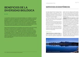 La Biodiversidad en Cifras
38 39
Sexto Informe Nacional Sobre Diversidad Biológica
BENEFICIOS DE LA
DIVERSIDAD BIOLÓGICA
Los beneficios obtenidos de la diversidad biológica son múltiples y provienen
de todos los niveles de organización de la misma: de ecosistemas, especies,
genética y cultural. Los beneficios se clasifican en directos e indirectos,
dependiendo de si son obtenidos a partir del uso de los recursos explotados
(por ejemplo, el consumo de peces, fauna terrestre o vegetales en alimenta-
ción) o de la acción de cualquier componente de la diversidad biológica sobre
el desarrollo de los elementos que son finalmente aprovechados.
Para el aprovechamiento de los beneficios que proveen los servicios ecosis-
témicos, se requiere que los ecosistemas funcionen correctamente.
En el Perú, los servicios ecosistémicos constituyen patrimonio de la na-
ción y son entendidos como “…aquellos beneficios económicos, sociales
y ambientales, directos e indirectos, que las personas obtienen del buen
funcionamiento de los ecosistemas, tales como la regulación hídrica en
cuencas, el mantenimiento de la biodiversidad, el secuestro de carbono, la
belleza paisajística, la formación de suelos y la provisión de recursos gené-
ticos, entre otros”16.
SERVICIOS ECOSISTÉMICOS
En el Sexto Informe Nacional al Convenio sobre la
Diversidad Biológica, se han considerado cuatro
categorías deservicios ecosistémicos, en base a la
Evaluación de Ecosistemas del Milenio (MA 2005)
y al Reglamento de la Ley n.° 30215 y tres adiciones
(abastecimiento de materiales geóticos, de recursos
ornamentales y fuentes de energía).
• Servicios de regulación (calidad del aire y del
agua, regulación climática, hídrica y de riesgos
naturales, control de erosión, de enfermedades y
plagas y polinización);
• Servicios de abastecimiento (alimento de fuentes
silvestres: pesca, caza y recolección, agua dulce, ma-
dera y fibra, uso medicinal, combustible, materiales
geóticos, recursos genéticos y ornamentales y pas-
tos y suelos de cultivo);
• Servicios culturales (estéticos, educacionales, re-
creativos y ecoturismo y espirituales y religiosos); y
• Servicios de soporte o apoyo (ciclo de nutrientes,
formación de suelo, producción primaria y mante-
nimiento de la biodiversidad).
Estudios de caso
· Regulación térmica en ciudades de Puno: Las
ciudades colindantes al lago Titicaca (ciudades de
Puno e Ilave) tienen condiciones microclimáticas
menos variables que aquellas más alejadas (Juliaca
y Mazo Cruz). Estas condiciones, además de desa-
rrollar un clima más agradable para la población,
crea mejores condiciones para los cultivos agríco-
las y crianza de animales domésticos, combatien-
do los efectos de las heladas. Estudio realizado por
el Servicio Nacional de Meteorología e Hidrología
(SENAMHI, 2013).
· Regulación hídrica de ecosistemas en áreas
protegidas: León (2007) identificó 10 áreas protegi-
das que brindan agua potable a 12 ciudades perua-
nas, excluyendo a la ciudad de Lima. Actualizando
los datos poblacionales al 2017 (INEI, 2017), se puede
reconocer que las áreas protegidas peruanas brin-
dan este servicio ecosistémico a 3 518 820 personas
en el país, lo que representa el 23.87 % de la pobla-
ción urbana, excluyendo Lima metropolitana.
· Polinización: En el Perú, la zoopolinización es
considerada esencial para la producción de cacao
y castaña, así como de 7 especies de hortalizas y 6
frutas comerciales. En la actualidad se realiza al-
quiler de colmenas de abejas para la polinización
de ciertas especies vegetales, entre las que desta-
can el palto, el zapallo y el arándano. Se estima 470
especies polinizadoras para el Perú, compuestas de
389 insectos, 55 aves y 26 mamíferos (FAO, 2017).
Asimismo, en el país existen 120 especies de coli-
bríes (Plenge, 2018) y, dado que la base de su ali-
mentación es el néctar floral, es muy probable que
la mayoría de ellas sean polinizadoras.
16	 Ley n.° 30215: Ley de mecanismos de retribución por servicios ecosistémicos.
Foto:
Musuk
Nolte
Laguna de Pultocc, Castrovirreyna (Huancavelica).
 