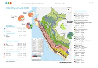 La Biodiversidad en Cifras
Sexto Informe Nacional Sobre Diversidad Biológica
!
.
!
.
!
.
!
.
!
.
!
.
!
.
!
.
!
.
!
.
!
.
!
.
!
.
!
.
!
.
!
.
!
.
!
.
!
.
!
.
!
.
!
.
!
.
!
.
!
.
LORETO
UCAYALI
PUNO
CUSCO
LIMA
JUNIN
ICA
AREQUIPA
PIURA
MADRE DE DIOS
ANCASH
SAN MARTIN
AYACUCHO
HUANUCO
PASCO
AMAZONAS
CAJAMARCA
TACNA
LA LIBERTAD
APURIMAC
HUANCAVELICA
MOQUEGUA
LAMBAYEQUE
TUMBES
CALLAO
B-cb
Pjph
Dc
Ma
Pjps
B-cb
Pjph
B-cb
B-cb
B-ai
L
B-bY
B-ai
B-bY
Ma
B-bY
B-bY
B-mY
B-bY
Ppal
Bes-ll
Ma
Jal
Agri
Dc
B-cb
Agri
Bes-cm
Ma
B-cb
B-cb
B-ai
Ma
Ma
B-cb
Dc
Ma
Agri
Ppal
Zp-gla
B-cb
B-ca
Pjph
Jal
B-tni
Ma
B-tni
B-bY
B-cb
B-cb
Dc
Ma
Dc
Dc
Dc
Agri
B-cb
B-cb
Ma
B-ca
Jal
Ma
B-ca
B-tni
Dc
B-tni
B-cb
B-tni
Bes-cm
Bes-ll
B-ai
B-bY
Dc
B-cb
B-tni
Dc
B-ca
B-tni
Dc
B-cb
B-tni
B-cb
Ma
Vsec
B-ca
L
Dc
Ppal
B-tni
B-cb
B-tni
B-ca
Ma
B-cb
B-tni
Ma
B-tni
Agri
Dc
Ppal
Agri
B-ca
B-cb
B-tni
Ppal
Jal
B-ca
B-ca
B-ca
Mx
B-cb
B-ca
B-cb
Bes-ll
B-cb
Pha
B-cb
Lo
Agri
Lo
B-cb
B-ca
B-cb
L
Bes-in
R. Nep
eñ
a
R
.
O
sm
o
re
R. Pativilca
Río
Mo
ron
a
Río Santa
Río Pisco
Río Ch
inc
ha
R. Samiria
Río Casma
Río
Am
az
on
as
R. Rímac
Río Marañón
Rí
o
Pa
st
az
a
R
ío
C
añete
R
.
M
al
a
R.
Tambo
R
ío
S
u
p
e
R
. M
anta
ro
R. Ta
m
bo
pa
ta
Río
Aguaytía
R. Ta
ba
co
na
s
R
.
Ap
ur
im
ac
R. Mad
re
de
Dios
Río
Hua
llag
a
Río Lo
cu
mba
Río
Inam
ba
ri
Río Tamaya
R.
Ur
ub
am
ba
R. Abujao
R.
Huanc
abamb
a
Río
Piu
ra
Río
Sant
iago
Río
Las
Piedras
R. Marañ
ón
Río Chira
R.
Yauca
R
.
C
h
ir
ia
co
R.
Utcuba
mba
R
.
S
ih
ua
s
R. Cha
may
a
R. Pam
pa
s
Río
Algodó
n
R
ío
U
ca
ya
li
R
ío
P
a
ch
ite
a
R.
Ca
m
an
a
Río Yaguas
Río Chao
Rí
o
Bia
bo
R.
Ce
ne
pa
R
ío
P
ur
us
Río Putumayo
R.
Co
tahu
as
i
Río
May
o
Río Huaura
R.
Pa
lca
zú
Río
Ac
ari
R. Pauya
R. Tig
re
R. Abiseo
R
.
C
ap
lin
a
R. Colca
Río
M
anú
R
.
S
a
m
a
R. Cha
pa
rra
Río Pisqui
R. Peren
é
R.
Oc
oñ
a
Río
Napo
Río
Reque
R.
Gr
an
de
Río
Ica
Río
Cha
nc
ay
R.
Si
sa
Río
En
e
R
.
H
ea
th
R. Je
qu
etep
eq
ue
R. Nie
va
Río Chicama
R
.
V
ito
r
R.P
acaya
R. Huarmey
R
.
Ila
ve
R
.
Lu
rín
R
ío
P
au
ca
rt
am
bo
Río
Nan
ay
Río
Ca
ller
ia
Río Ca
rabaya
R
ío
B
la
n
co
Río Marañón
R
ío
H
ua
lla
ga
R
.
M
a
n
ta
ro
R
ío
M
a
ra
ñ
ó
n
R. Tambo
Río Inambari
R. Urubamba
ICA
PUNO
PIURA
CUSCO
TUMBES
HUARAZ
CALLAO
ABANCAY
HUANUCO
IQUITOS
AREQUIPA
AYACUCHO
PUCALLPA
MOQUEGUA
HUANCAYO
TRUJILLO
CAJAMARCA
MOYOBAMBA
HUANCAVELICA
CERRO DE PASCO
PUERTO MALDONADO
CHILE
COLOMBIA
BRASIL
BOLIVIA
LAGO TITICACA
ECUADOR
O
C
É
A
N
O
P
A
C
Í
F
I
C
O
Plantación forestal Pf
Zona agrícola Agri
Zona urbana Urb
Zona minera Min
Vegetación secundaria Vsec
Cuerpo de agua artificial Caa
11,985,673.37 9.26
ZONAS
INTERVENIDAS
ha %
Pantano herbáceo-arbustivo Pha 795,573.87 0.61
Sabana húmeda con palmeras Shp 6,631.15 0.01
Pantano de palmeras Ppal 5,527,523.42 4.27
Bosque aluvial inundable B-ai 9,038,741.41 6.99
Bosque de terraza no inundable B-tni 4,805,993.00 3.71
Varillal Var 50,571.36 0.04
Bosque de colina baja B-cb 31,801,303.37 24.58
Bosque de colina alta B-ca 3,862,298.23 2.98
Bosque de colina de Sierra del Divisor Bs-cSD 71,428.28 0.06
Pacal Pac 29,721.44 0.02
Bosque estacionalmente seco oriental Bes-or 87,254.76 0.07
Bosque basimontano de Yunga B-bY 8,237,633.88 6.37
Bosque montano de Yunga B-mY 4,528,359.89 3.50
Bosque altimontano (Pluvial) de Yunga B-aY 2,377,288.52 1.84
Páramo Pa 82,948.54 0.06
Pajonal de puna seca Pjps 4,887,186.88 3.78
Pajonal de puna húmeda Pjph 11,981,914.03 9.26
Bofedal Bo 548,174.41 0.42
Zona periglaciar y glaciar Zp-gla 2,959,578.37 2.29
Jalca Jal 1,340,320.57 1.04
Bosque relicto altoandino Br-a 156,973.41 0.12
Bosque relicto montano de vertiente occidental Br-mvoc 90,703.86 0.07
Bosque relicto mesoandino Br-ma 24,964.55 0.02
Bosque estacionalmente seco interandino Bes-in 535,871.60 0.41
Matorral andino Ma 10,304,035.94 7.96
Bosque tropical del Pacífico BtP 20,692.06 0.02
Manglar Mg 6,427.61 0.01
Bosque estacionalmente seco de colina y montaña Bes-cm 1,897,483.31 1.47
Loma costera Lo 294,033.05 0.23
Matorral xérico Mx 64,175.98 0.05
Bosque estacionalmente seco de llanura Bes-ll 1,452,575.98 1.12
Bosque estacionalmente seco ribereño Besr 52,152.65 0.04
Desierto costero Dc 7,107,338.20 5.49
Humedal costero Hc 57,285.04 0.04
LEYENDA
MAPA NACIONAL DE ECOSISTEMAS DEL PERÚ
REGIÓN ECOSISTEMA Simbología Color
SUPERFICIE
SELVA
TROPICAL
YUNGA
COSTA
ANDINA
Lago y laguna L 845,836.26 0.65
Río R 1,474,389.46 1.14
ECOSISTEMAS
ACUÁTICOS
0 175 350
87.5
Km
1:2,200,000
Escala gráfica
Colaboradores:
MAPA NACIONAL DE ECOSISTEMAS
Fuente:
Mapa de cobertura vegetal (MINAM, 2015); Mapa fisiográfico (INRENA, 2002); Mapa de bioclimático – Provincias de
humedad (INRENA, 2002); Mapa de Pisos Ecológicos; Definiciones conceptuales de los Ecosistemas del Perú
(MINAM, 2018); Mapa de Sistemas Ecológicos de los Andes (Comunidad Andina, 2009); Ríos, lagos y lagunas (IGN);
Uso y cambio de la tierra en Amazonía (PNCBMCC, 2016).
Elaborado: Fecha: Escala:
Mayo 2019
- Dirección de Monitoreo y Evaluación de los Recursos
Naturales del Territorio (DMERNT)
D IR E C C IÓN GE N E R A L D E OR D E N A M IE N TO T E R R I TOR I A L A M B IE N TA L
Proyección:
Geográfica
WGS 84
Viceministerio
de Desarrollo Estratégico
de los Recursos Naturales
Ministerio
del Ambiente
PERÚ
- Grupo de Trabajo para el Mapa Nacional de Ecosistemas
(RM Nº 125-2015-MINAM)
1:2,200,000
PERÚ
12 13
ECOSISTEMAS NACIONALES
ECOSISTEMAS FORESTALES
Bosque estacionalmente seco oriental		
87 254,76 ha 	 (0,07 %)
Bosque estacionalmente seco interandino		
535 871,60 ha	 (0,41 %)
Bosque estacionalmente seco de llanura		
1 452 575,98 ha	 (1,12 %)
Bosque estacionalmente seco ribereño		
52 152,65 ha	 (0,04 %)
Bosque estacionalmente seco de colina y montaña
1 897 483,31 ha	 (1,47 %)
Bosque tropical del Pacífico				
20 692,06 ha	 (0,02 %)
Bosque relicto altoandino				
156 973,41 ha 	 (0,12 %)
Bosque relicto de vertiente occidental			
90 703,86 ha	 (0,07 %)
Bosque relicto mesoandino				
24 964,55 ha	 (0,02 %)
Bosque basimontano de yunga				
8 237 633,88 ha	 (6,36 %)
Bosque montano de yunga				
4 528 359,89 ha	 (3,50 %)
Bosque altimontano de yunga				
2 377 288,52 ha 	 (1,84 %)
Bosque aluvial inundable de agua blanca y negra	
9 038 741,41 ha	 (6,98 %)	
Bosque de colina baja					
31 801 303,37 ha	 (24,57 %)
Bosque de colina alta					
3 862 298,23 ha	 (2,98 %)
Bosque de colina de Sierra del Divisor			
71 428,28 ha	 (0,06 %)
Bosque de terraza no inundable			
4 805 993 ha	 (3,71 %)
Sabana húmeda con palmeras				
6631,15 ha	 (0,01 %)
Varillal							
50 571,36 ha	 (0,04 %)
Pantano herbáceo arbustivo				
795 573,87 ha	 (0,61 %)
Pantano de palmeras					
5 527 523,42 ha	 (4,27 %)
Paca							
29 721,44 ha	 (0,02 %)
ECOSISTEMAS DE
AGUAS CONTINENTALES
Río	 1 474 389,46 ha	 (1,14 %)
Lago y laguna	 891 921,67 ha	 (0,69 %)
Humedal costero	 56 769,34 ha	 (0,04 %)
ECOSISTEMAS MARINOS
Manglar	 6943,31 ha	 (0,01 %)
Islas marinas
Mar tropical
Mar frío
ECOSISTEMAS DE ALTA MONTAÑA
Jalca	 1 340 320,57 ha	 (1,04 %)
Bofedal	 548 174,41 ha	 (0,42 %)
Pajonal de puna húmeda	 11 981 914,03 ha	 (9,26 %)
Pajonal de puna seca	 4 887 186,88 ha	 (3,78 %)
Páramo	 82 948,54 ha	 (0,06 %)
Glaciar y zona periglaciar	 2 959 578,37 ha	 (2,29 %)	
ECOSISTEMAS ÁRIDOS Y SEMIÁRIDOS
Matorral xérico	 64 175,98 ha	 (0,05 %)
Matorral andino	 10 304 035,94 ha	 (7,96 %)
Desierto costero	 7 107 338,20 ha	 (5,49 %)	
Loma costera	 294 033,05 ha	 (0,23 %)
ECOSISTEMAS SUBTERRÁNEOS
Cuevas / Humedales kársticos
Ecosistema de bosque
tropical del Pacífico
(Tumbes)
Ecosistema
de páramo
Ecosistema
de manglar
Ecosistema de
bosque de colina de
Sierra del Divisor
Ecosistema de
sabana húmeda
con palmeras
Mapa 1. Mapa Nacional de Ecosistemas.
 