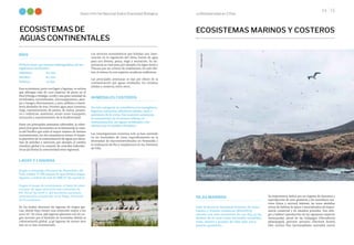 La Biodiversidad en Cifras
Sexto Informe Nacional Sobre Diversidad Biológica
14 15
RÍOS
El Perú tiene 159 cuencas hidrográficas de las
siguientes vertientes:
Atlántico 	 84 ríos
Pacífico	 62 ríos
Titicaca	 13 ríos
Este ecosistema, junto con lagos y lagunas, se estima
que albergan más de 1200 especies de peces en el
Perú (Ortega e Hidalgo, 2008) y una gran variedad de
vertebrados, invertebrados, microorganismos, plan-
tas y hongos, directamente; y aves, anfibios y mamí-
feros alrededor de este. Proveen agua para consumo,
riego, mantenimiento de pastos, de suelos, pesque-
ría e industrias. Asimismo, sirven como transporte,
recreación y mantenimiento de la biodiversidad.
Entre sus principales amenazas sobresalen: la sobre-
pesca (con gran incremento en la Amazonía), la cuen-
ca del Pacífico que sufre el mayor número de fuentes
contaminantes, los ríos amazónicos tienen el impac-
to gravísimo de la contaminación de aguas por derra-
mes de petróleo y mercurio, por ejemplo, el cambio
climático global y la creación de centrales hidroeléc-
tricas (al limitar la conectividad entre regiones).
LAGOS Y LAGUNAS
Según la Estrategia Nacional de Humedales del
Perú, existen: 27 390 cuerpos de agua lénticos (lagos,
lagunas y cochas) de más de 5000 m2 de superficie.
Según el mapa de ecosistemas, el total de estos
cuerpos de agua abarcaría una extensión de
891 921,67 ha (0.69 % del territorio nacional),
información actualizada en el Mapa Nacional
de Ecosistemas.
En los Andes, destacan las lagunas de origen gla-
ciar, donde 8355 tienen una extensión mayor a los
5000 m2. De estas, 996 lagunas glaciares son de ori-
gen reciente por el deshielo de montañas debido al
calentamiento global. 3246 lagunas de menor área
aún no se han inventariado.
ECOSISTEMAS DE
AGUAS CONTINENTALES
Los servicios ecosistémicos que brindan son: inter-
vención en la regulación del clima, fuente de agua
para uso diverso, pesca, riego y recreación. Su im-
portancia es vital para, por ejemplo, los lagos Junín y
Titicaca por ser centros de endemismo. En este últi-
mo, al menos 64 son especies acuáticas endémicas.
Las principales amenazas se dan por efecto de la
contaminación por aguas residuales, los residuos
sólidos y mineros, entre otros.
HUMEDALES COSTEROS
En esta categoría se considera a los manglares,
lagunas, estuarios, albuferas, deltas, oasis y
pantanos de la costa. Sus mayores amenazas
se encuentran en el avance urbano, la
contaminación, las aguas residuales y los
efectos por el cambio climático.
Las investigaciones recientes solo se han centrado
en los humedales de Lima, específicamente en la
diversidad de macroinvertebrados en Ventanilla y
la evaluación de fito y zooplancton en los Pantanos
de Villa.
ECOSISTEMAS MARINOS Y COSTEROS
ISLAS MARINAS
Solo la Reserva Nacional Sistema de Islas,
Islotes y Puntas Guaneras (RNSIIPG)
cuenta con una extensión de 140 833,47 ha,
dentro de la cual están incluidas veintidós
islas, islotes y grupos de islas más once
puntas guaneras.
Su importancia radica por ser lugares de descanso y
reproducción de aves guaneras y de mamíferos ma-
rinos (lobos y nutrias). Además, las áreas aledañas
sirven de hábitat de peces e invertebrados de impor-
tancia comercial y en estadíos juveniles. Son refu-
gio y hábitat reproductivo de las siguientes especies
amenazadas: petrel de las Galápagos (Pterodroma
phaeopygia), gaviotín peruano (Sternula lorata),
lobo marino fino (Arctocephalus australis), nutria
Pantanos de Villa (Lima).
Foto:
P.
V
illa
-
Sernanp
RVSPV
Foto:
Jorge
Luján
Islas Ballestas, Pisco (Ica).
 