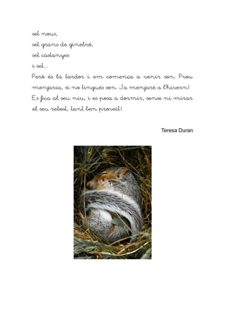 set nous,

set grans de ginebró,

set castanyes

i set...

Però és la tardor i em comença a venir son. Prou

menjaria, si no tingués son. Ja menjaré a l'hivern!

Es fica al seu niu, i es posa a dormir, sense ni mirar

el seu rebost, tant ben proveït!



                                           Teresa Duran
 