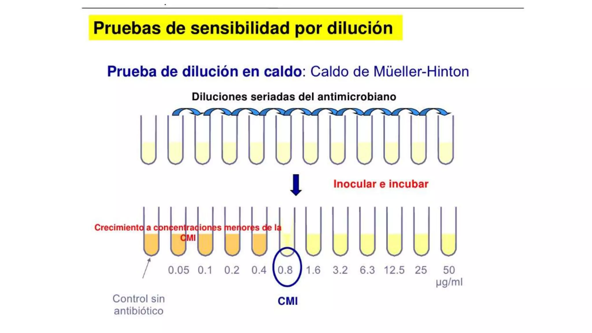 lectura-interpretada-de-antibiograma-pptx