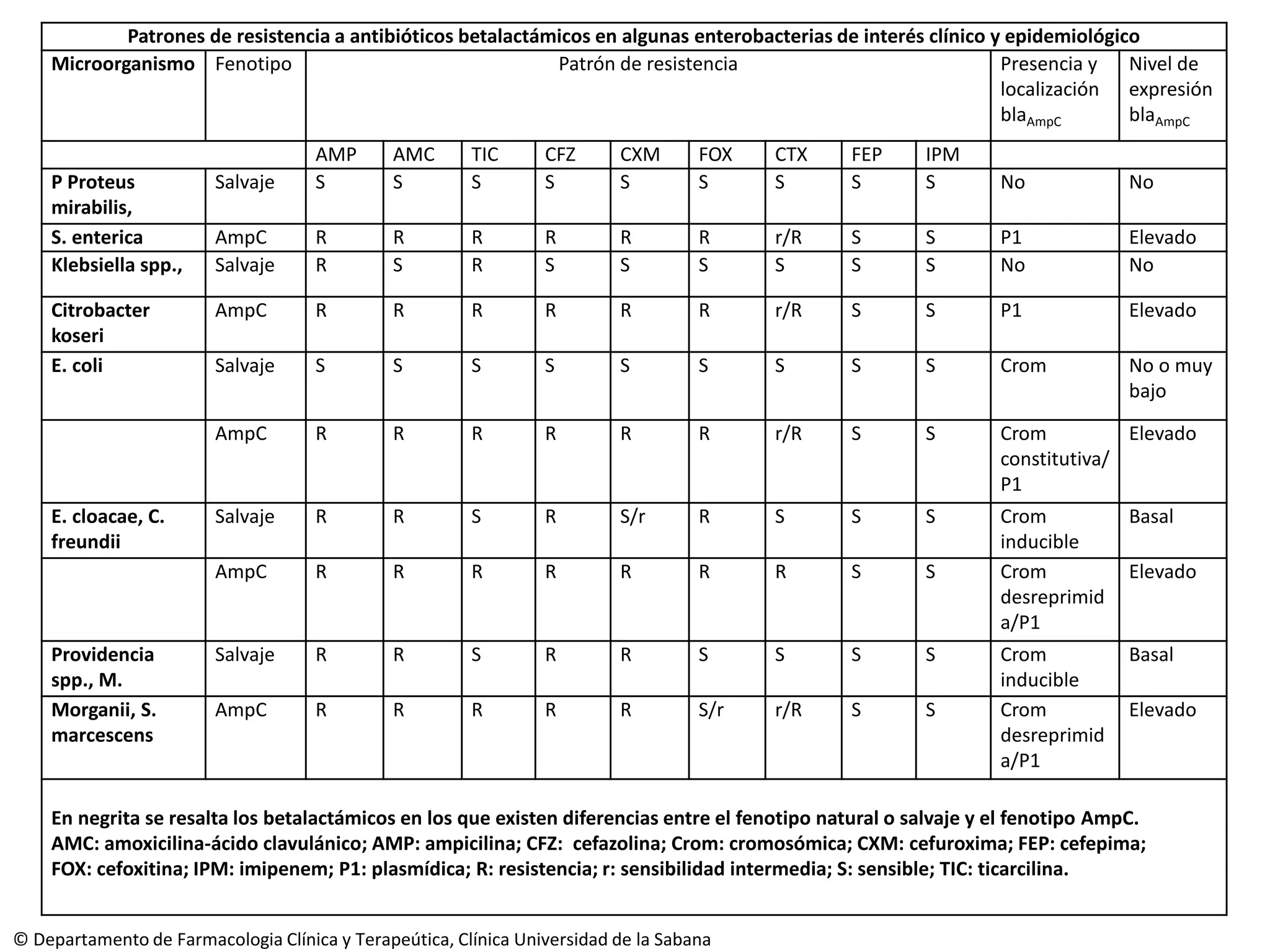 lectura-interpretada-del-antibiograma-pdf