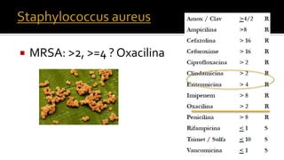  MRSA: >2, >=4 ? Oxacilina
 