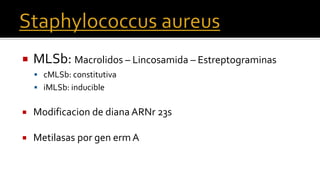  MLSb: Macrolidos – Lincosamida – Estreptograminas
 cMLSb: constitutiva
 iMLSb: inducible
 Modificacion de diana ARNr 23s
 Metilasas por gen erm A
 